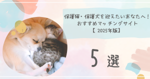 保護猫・保護犬を迎えたいあなたへ！おすすめマッチングサイト5選【2024年版】