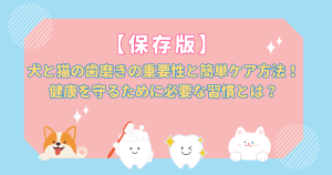 【保存版】犬と猫の歯磨きの重要性と簡単ケア方法！健康を守るために必要な習慣とは？