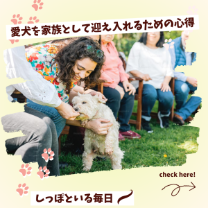 ペット　犬　春　ポップ　インスタグラム投稿　黄色