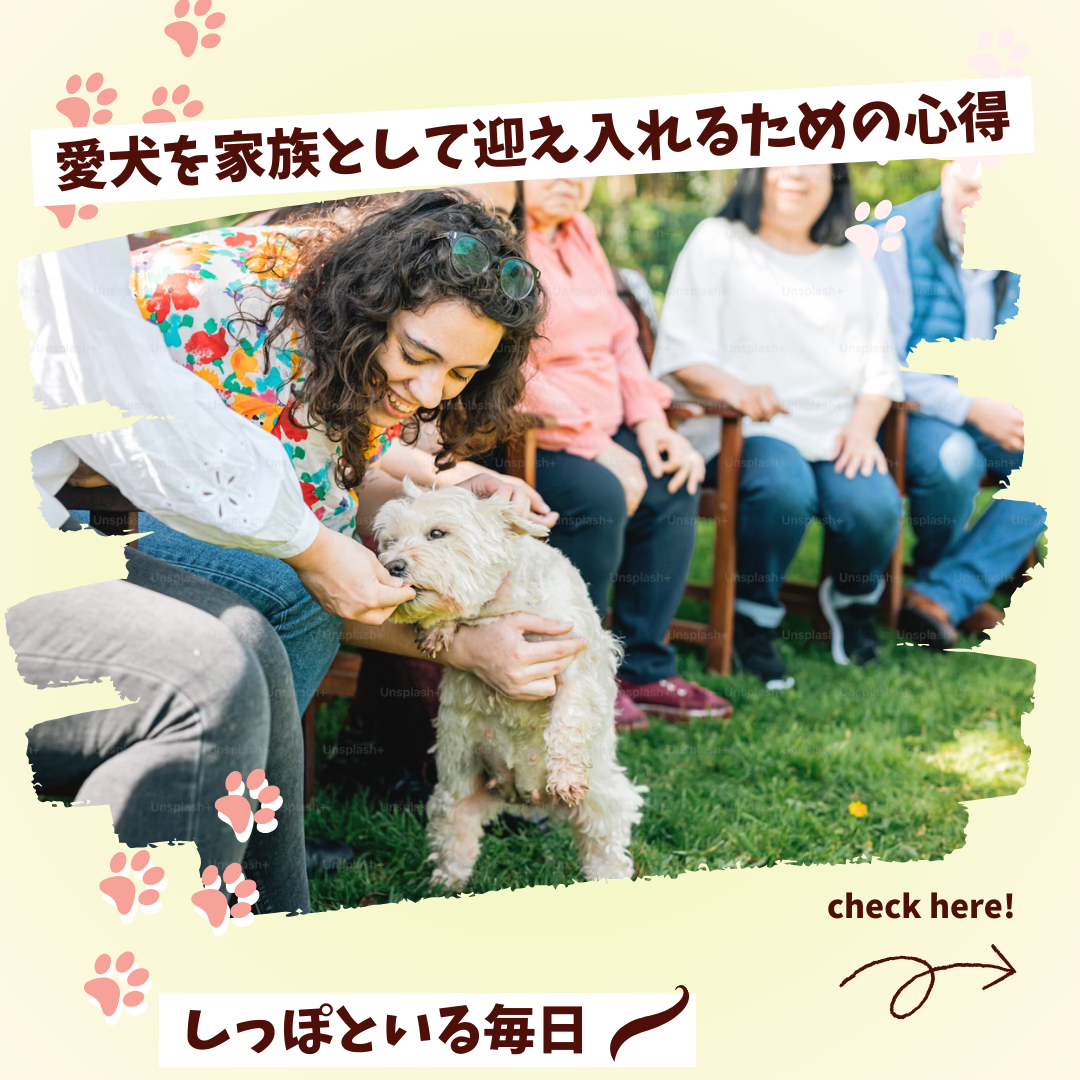 ペット　犬　春　ポップ　インスタグラム投稿　黄色