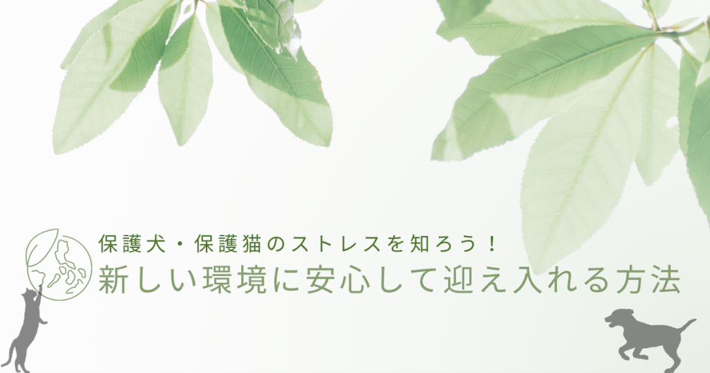 「保護犬・保護猫のストレスを知ろう！：新しい環境に安心して迎え入れる方法」のアイキャッチ