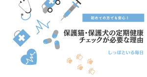 保護猫・保護犬の定期健康チェックが必要な理由｜初めての方でも安心！