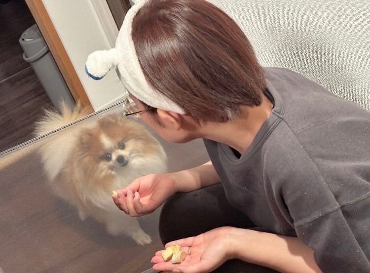 パーテーション越しにちくわにおやつをあげている様子