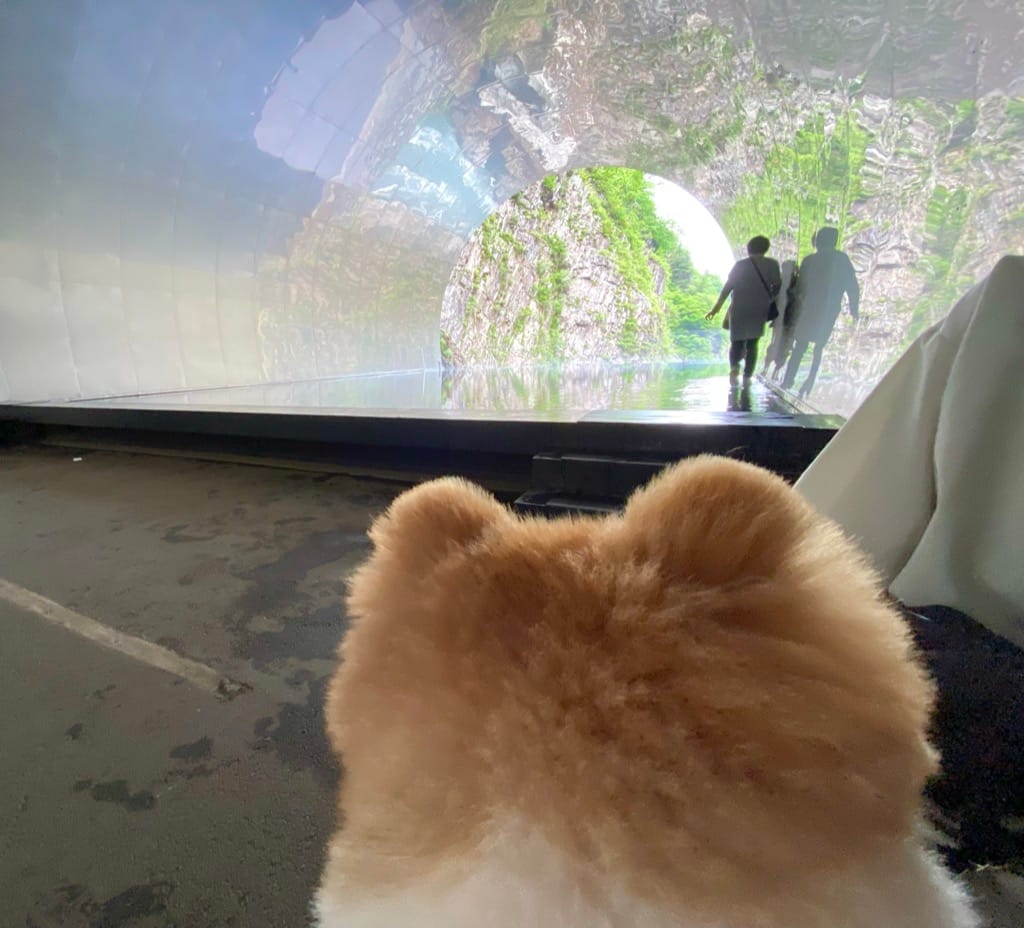 ちくわと清津峡渓谷トンネル