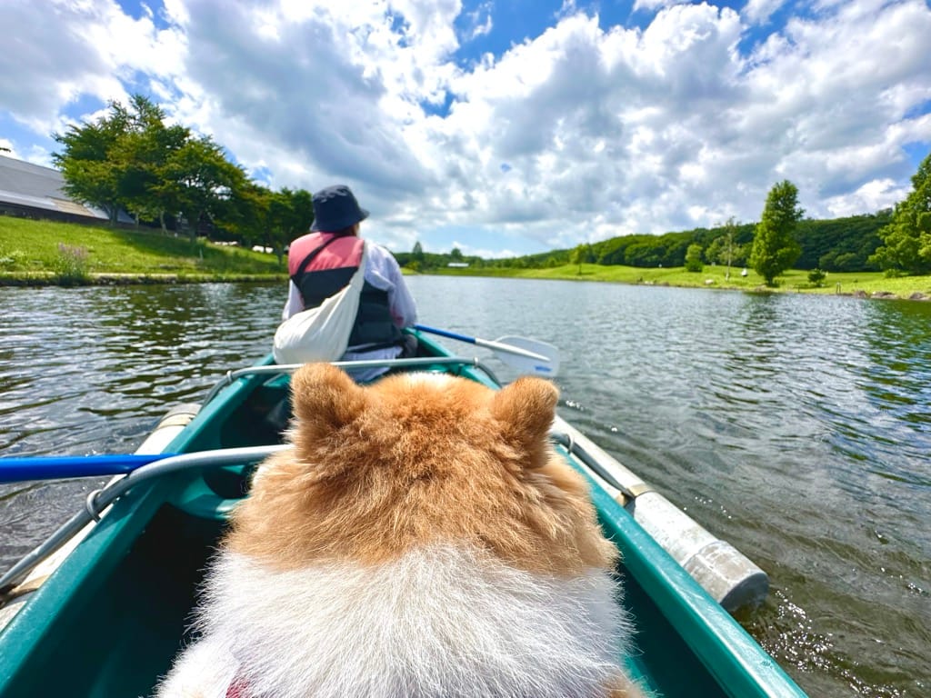 エンゼルフォレスト白河高原 愛犬とカヌー