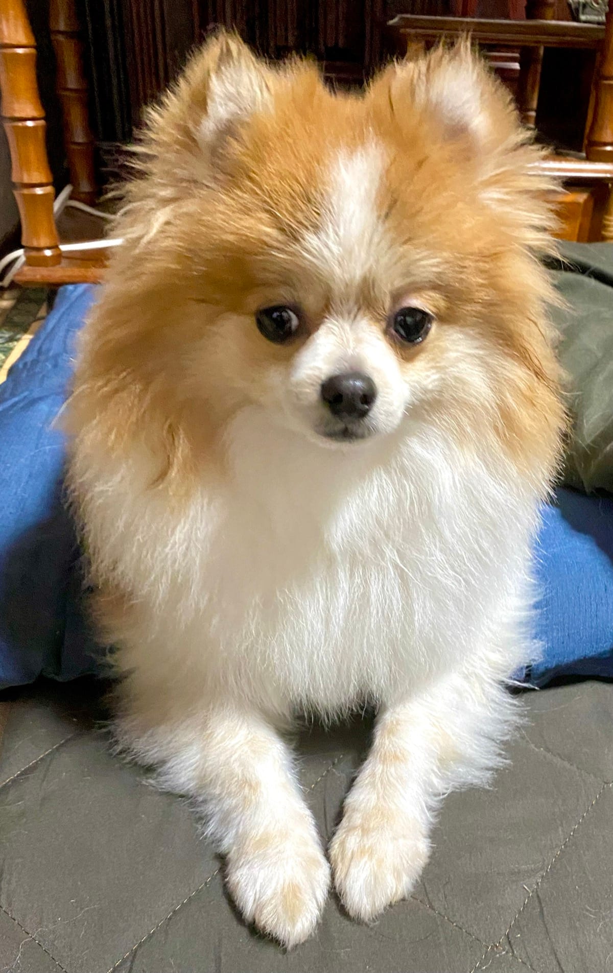 実家から帰ったあとのちくわ