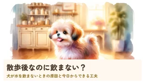散歩後なのに飲まない？｜犬が水を飲まないときの原因と今日からできる工夫