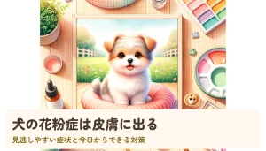 犬の花粉症は皮膚に出る｜見逃しやすい症状と今日からできる対策