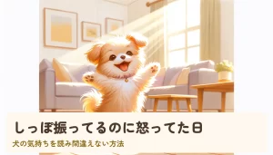 しっぽ振ってるのに怒ってた日|犬の気持ちを読み間違えない方法