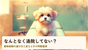 動物病院の選び方と変えどきの判断基準
