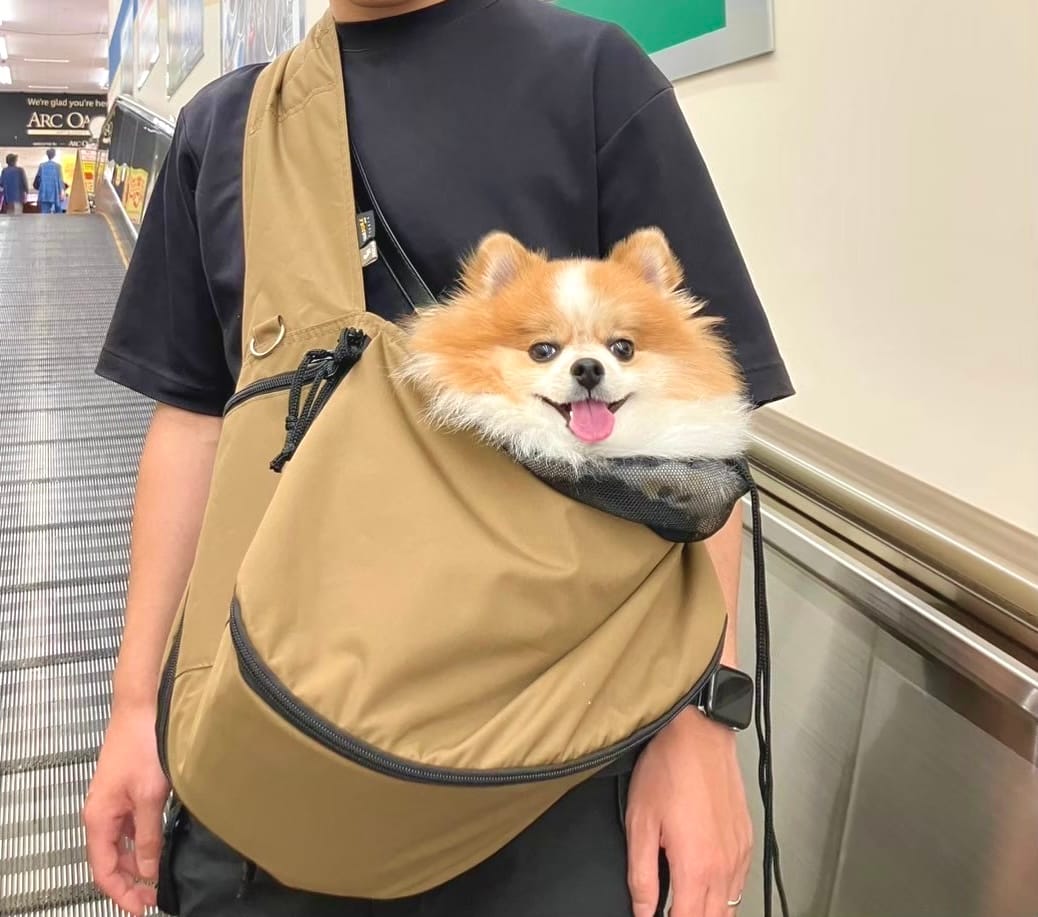 スリングに入ってご満悦のちくわ