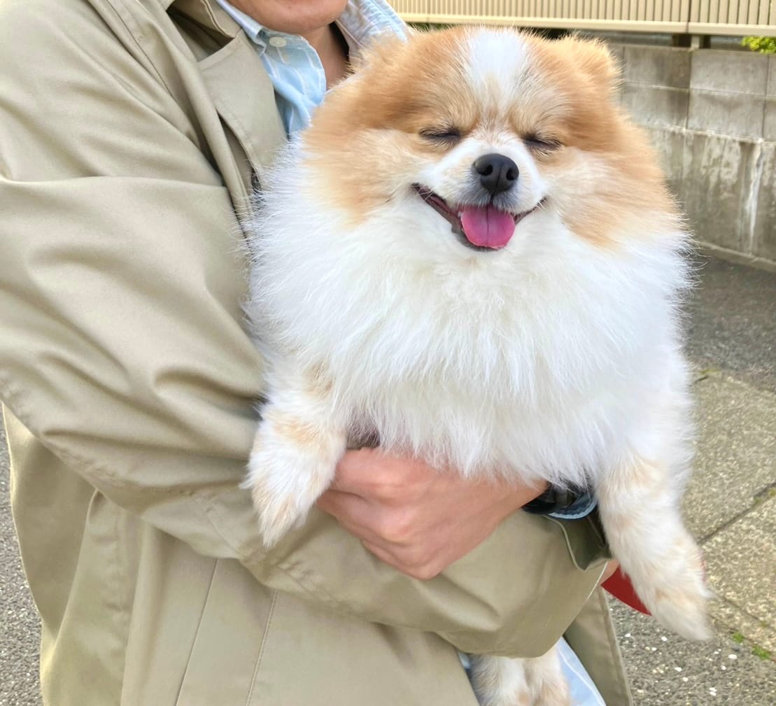 両手で抱っこされて嬉しそうなちくわ