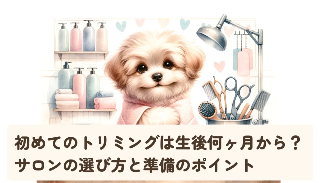 初めてのトリミングは生後何ヶ月から？サロンの選び方と準備のポイント