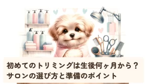 初めてのトリミングは生後何ヶ月から?サロンの選び方と準備のポイント