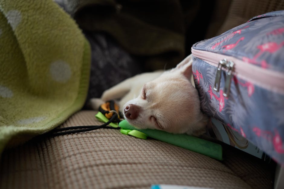 「まだ若い」と思っていた頃に見逃していたサイン