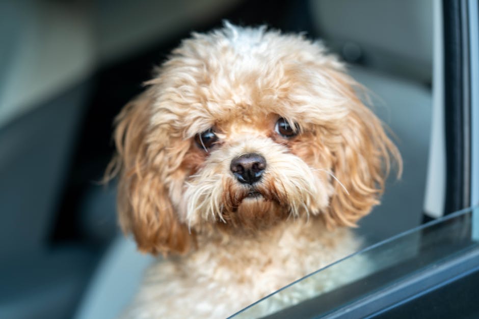 近場を10分走るところから始めた