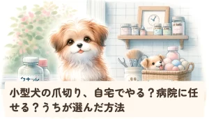 小型犬の爪切り、自宅でやる？病院に任せる？うちが選んだ方法