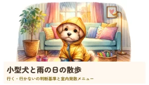 小型犬と雨の日の散歩｜行く・行かないの判断基準と室内発散メニュー