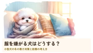 服を嫌がる犬はどうする?|小型犬の冬の寒さ対策と防寒の考え方
