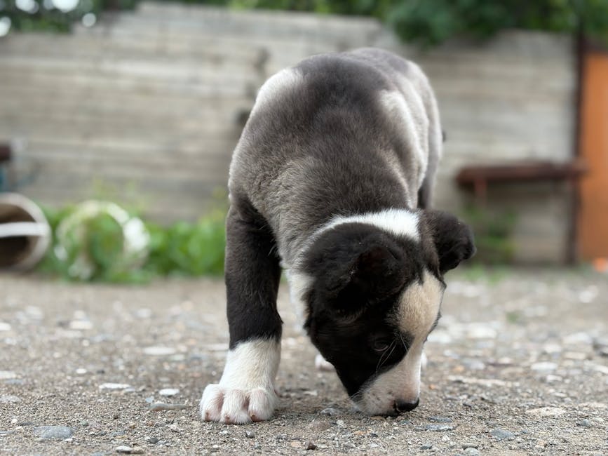 トイレの「場所」より大事なこと