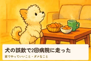 犬の誤飲で2回病院に走った|家でやっていいこと・ダメなこと