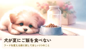 犬が夏にご飯を食べない｜フードを変える前に試してほしい3つのこと