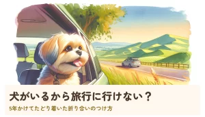 犬がいるから旅行に行けない?|5年かけてたどり着いた折り合いのつけ方