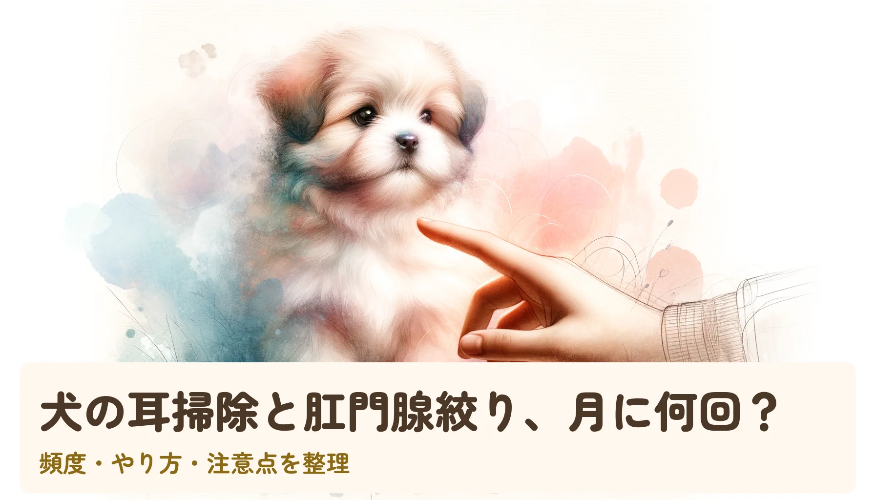 犬の耳掃除と肛門腺絞りの頻度とやり方