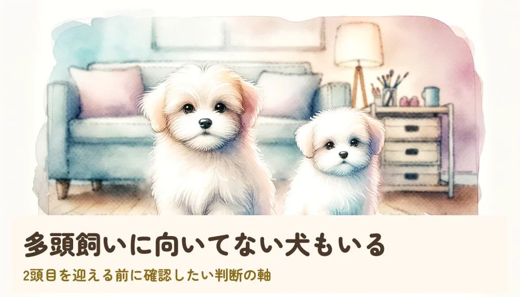 多頭飼いに向いてない犬もいる｜2頭目を迎える前に確認したい判断の軸