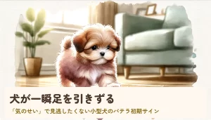 犬が一瞬足を引きずる｜「気のせい」で見逃したくない小型犬のパテラ初期サイン