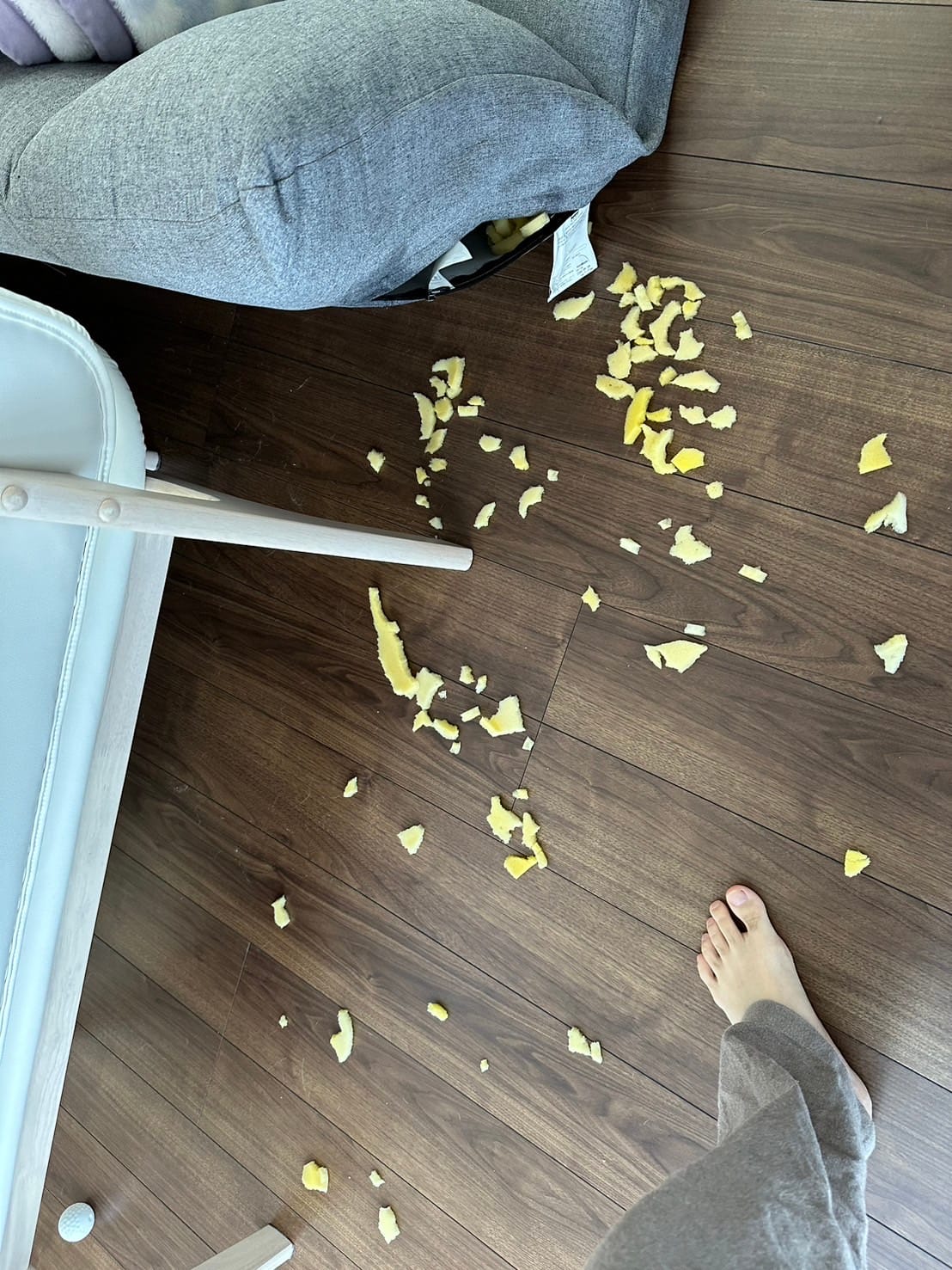 ソファをかじって中身のスポンジが出た様子