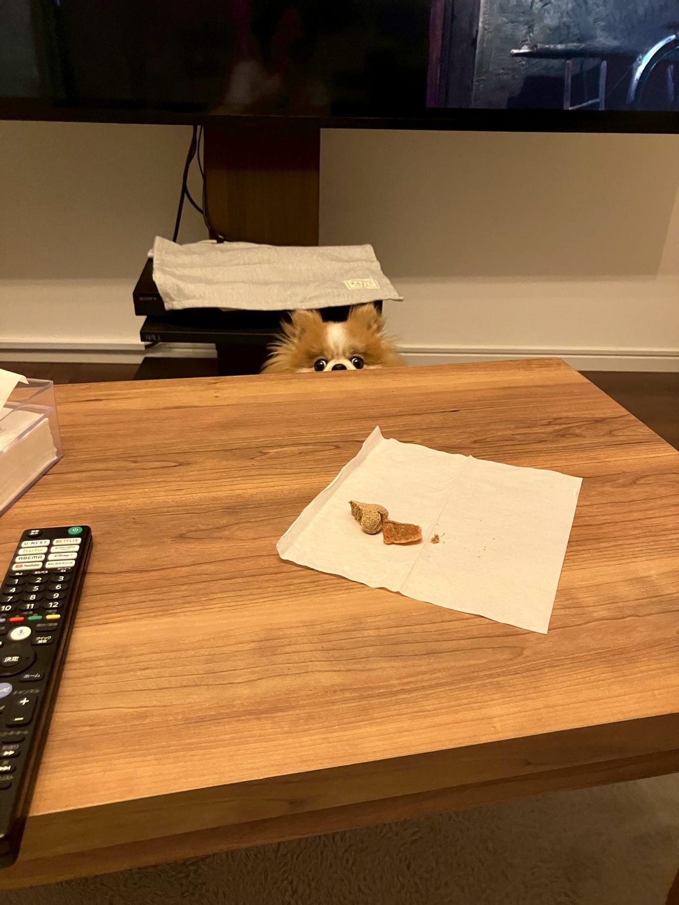 ローテーブルの向こうからこちらを見るちくわ