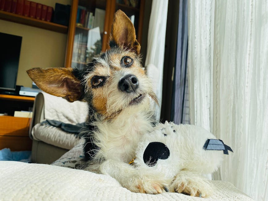 「友達を増やす」ことを社会化のゴールにしないのイメージ写真