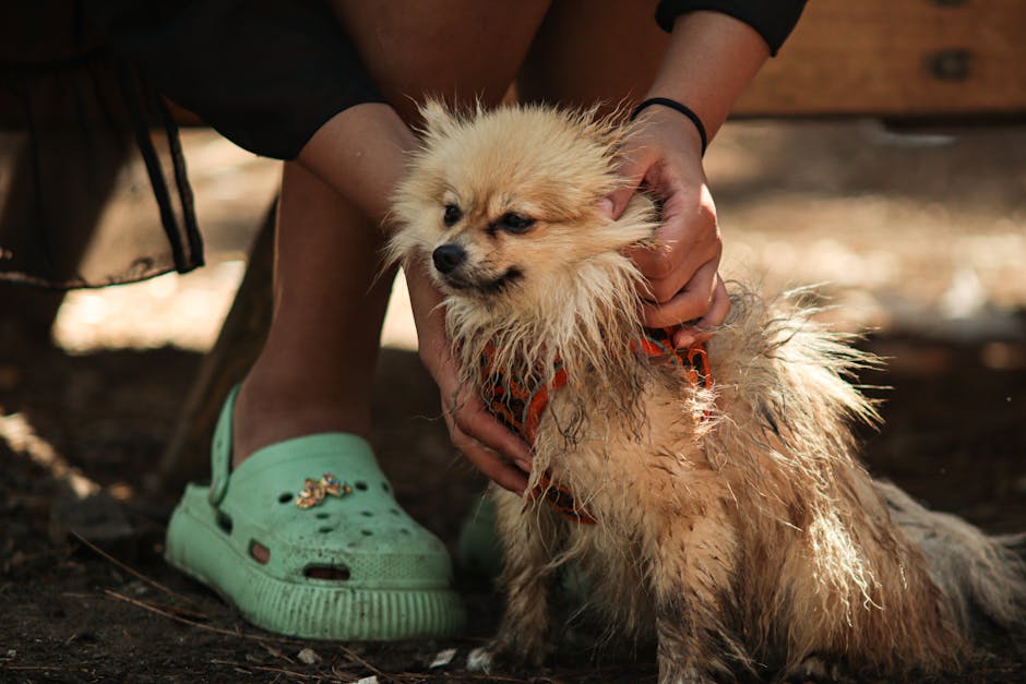 目的別にもう一度整理のイメージ写真